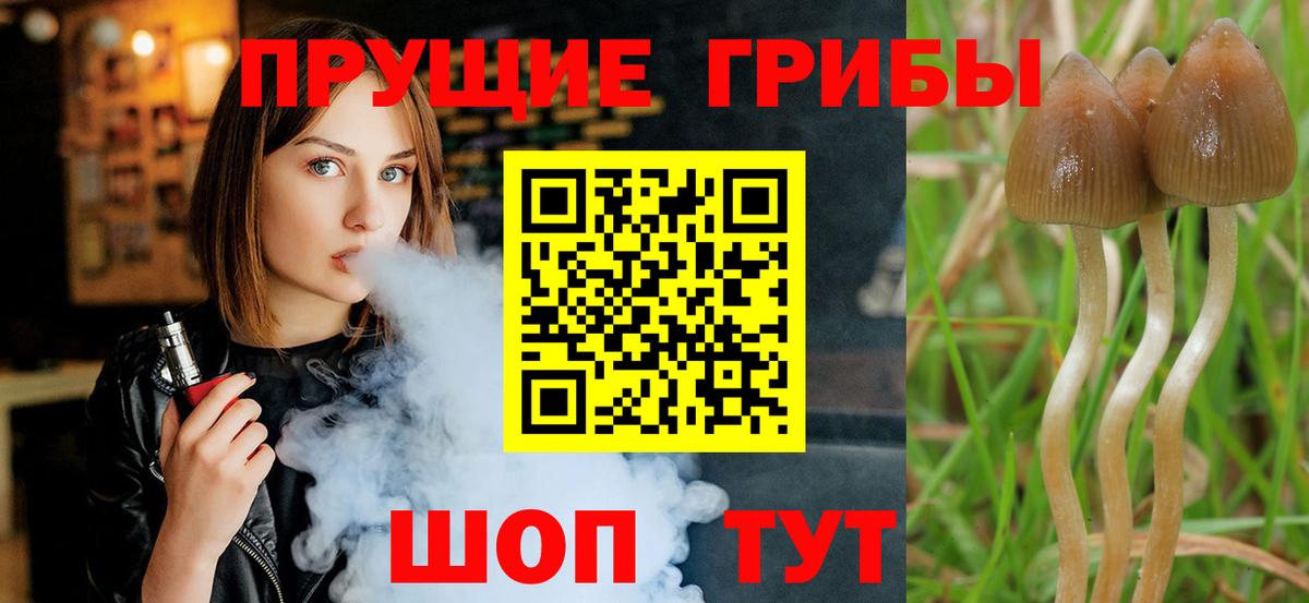 Галлюциногенные грибы GOLDEN TEACHER Бердск